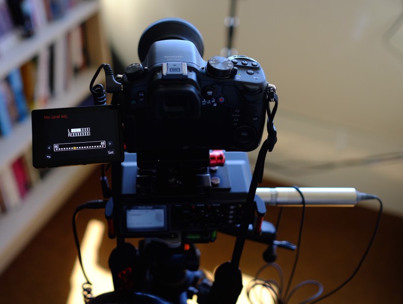 Adjusting your audio on the GH3